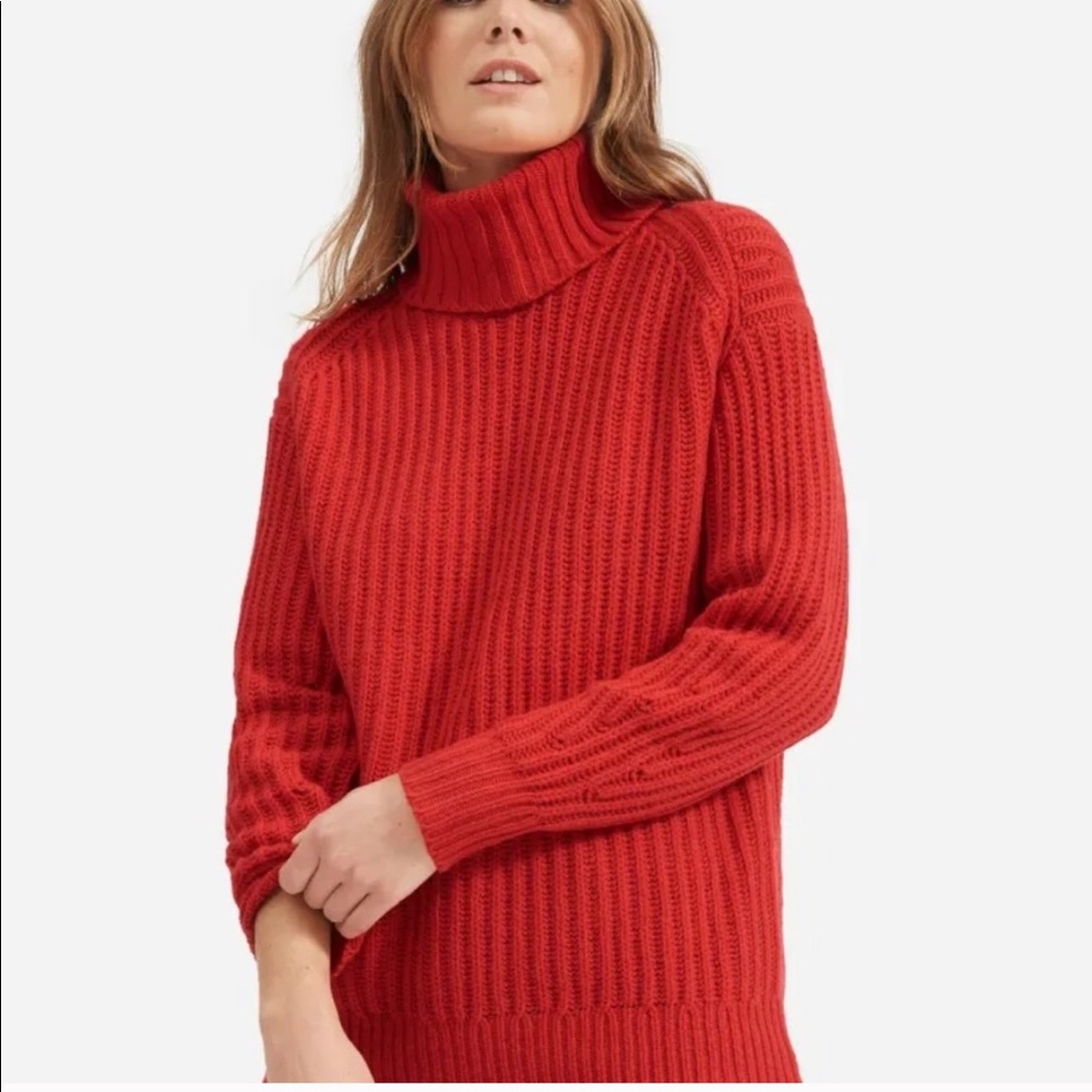 Everlane Italian soft wool turtleneck
